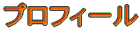 �v���t�B�[�� 